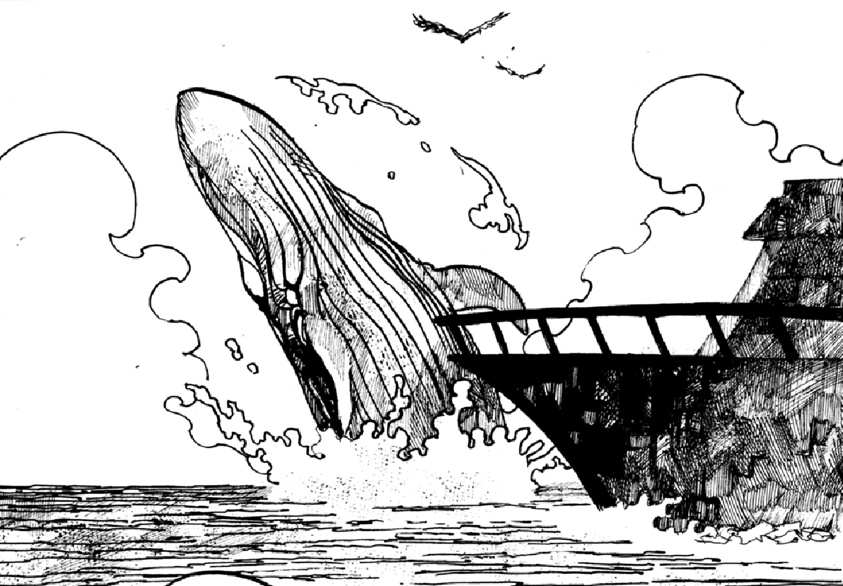 クジラガイ